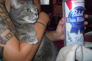 cat ponders hipster pabst blur ribbon life